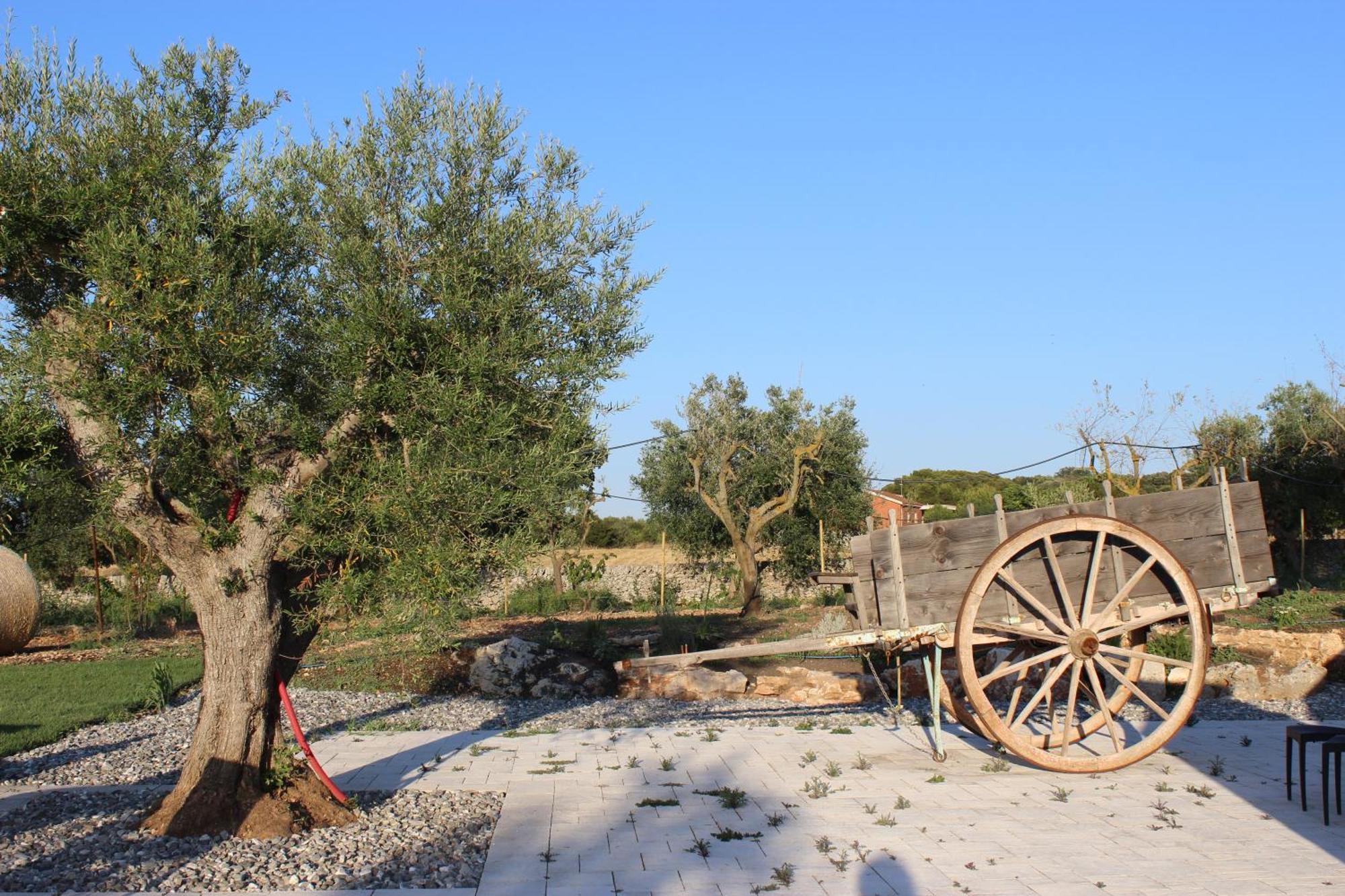 Masseria Stella Gioia Del Colle Eksteriør billede